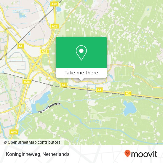 Koninginneweg map