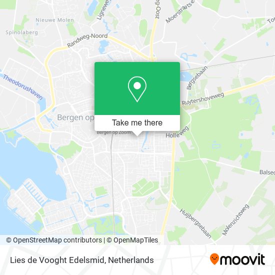 Lies de Vooght Edelsmid map