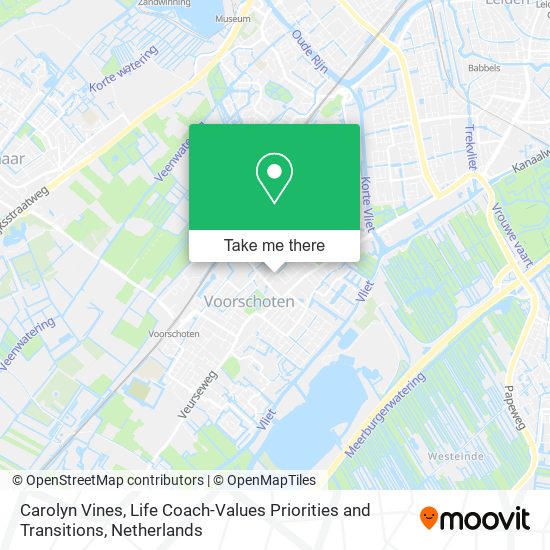 Carolyn Vines, Life Coach-Values Priorities and Transitions map