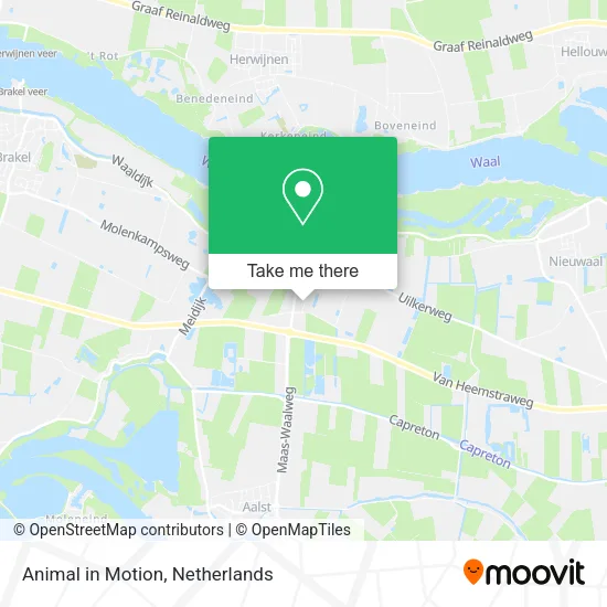 Animal in Motion map