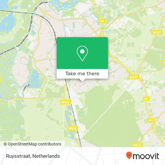 Ruysstraat map