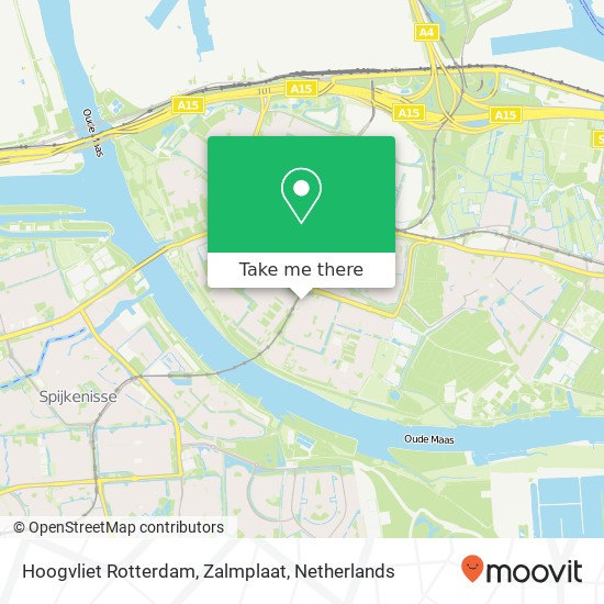 Hoogvliet Rotterdam, Zalmplaat map