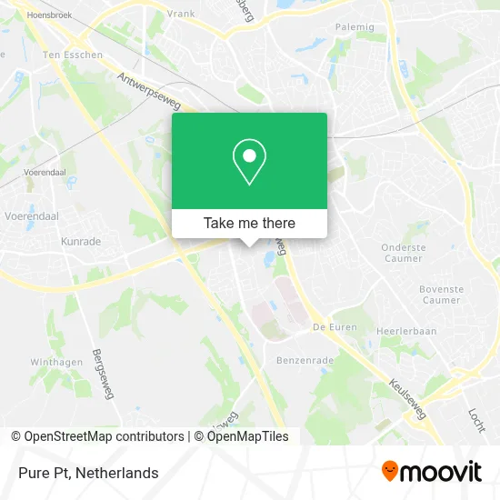 Pure Pt map