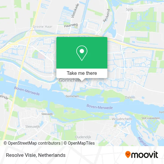 Resolve Visie map