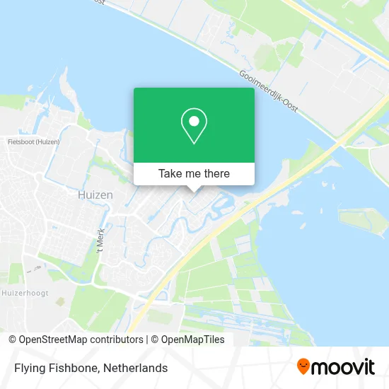 Flying Fishbone map