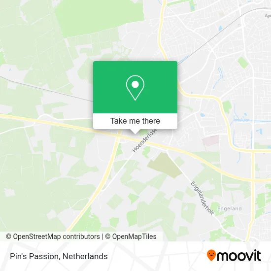 Pin's Passion map