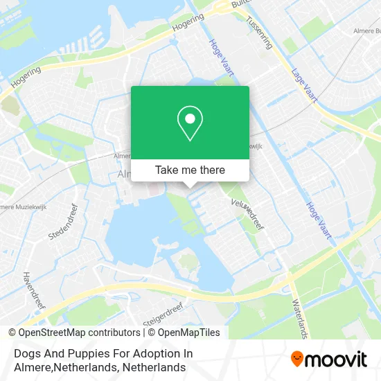 Dogs And Puppies For Adoption In Almere,Netherlands map