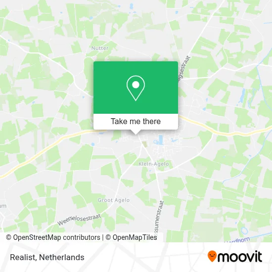Realist map