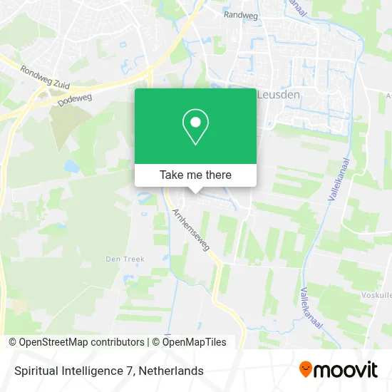 Spiritual Intelligence 7 map