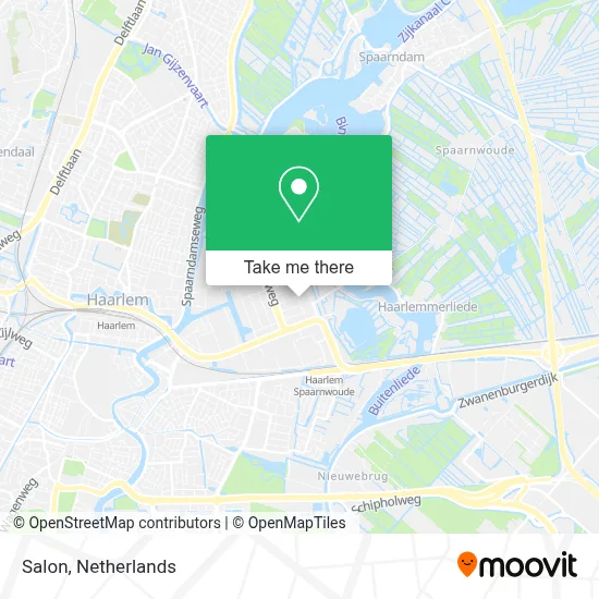 Saluni map