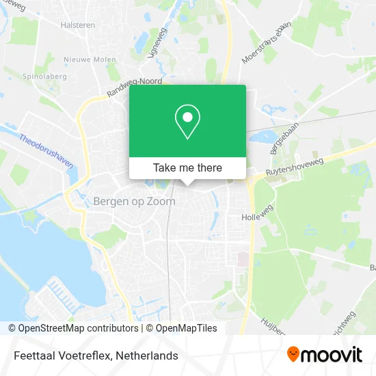 Feettaal Voetreflex map