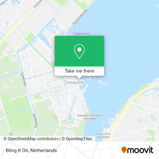 Bling It on map