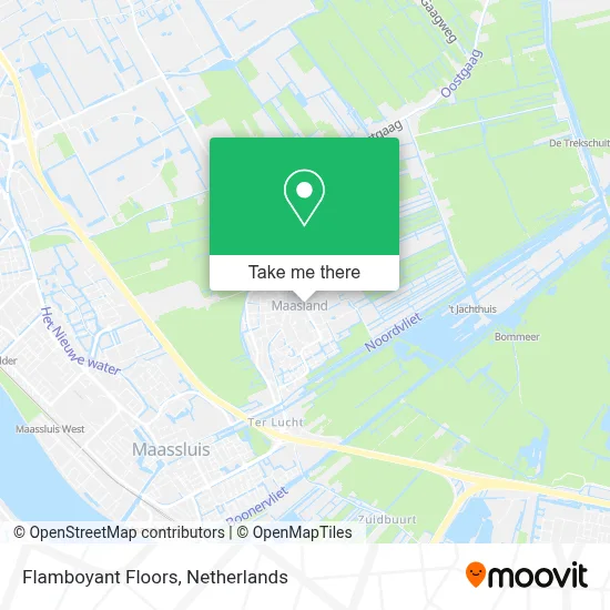 Flamboyant Floors map