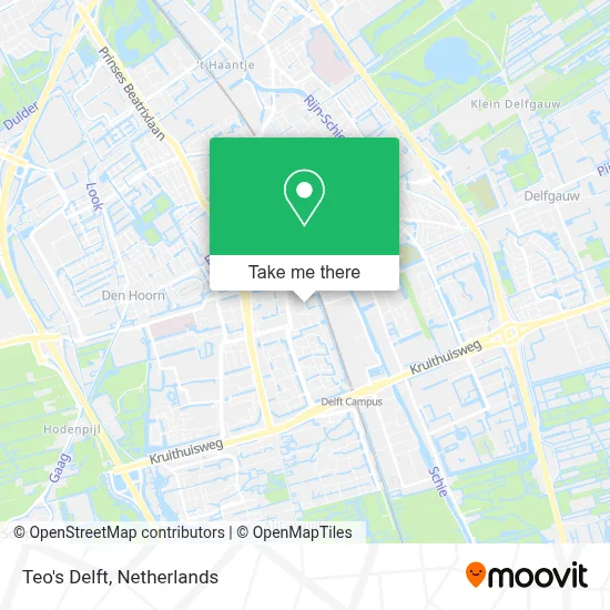 Teo's Delft map