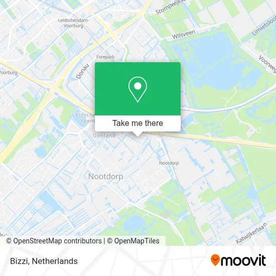Bizzi map