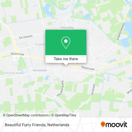 Beautiful Furry Friends map