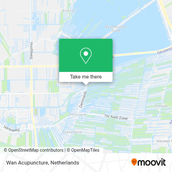 Wan Acupuncture map