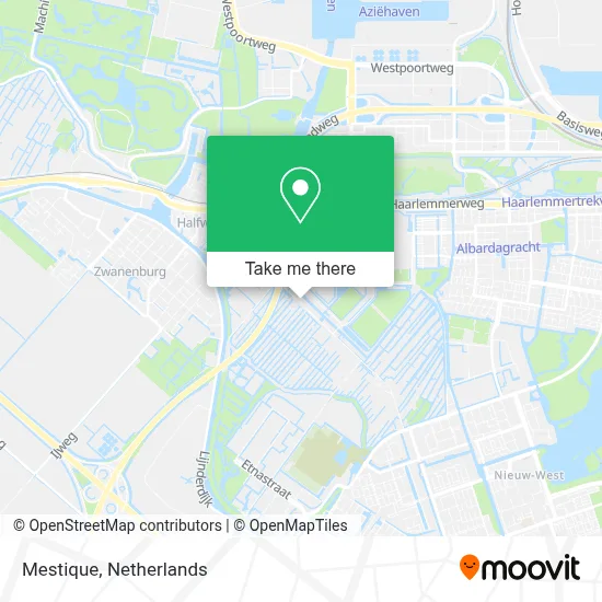 Mestique map
