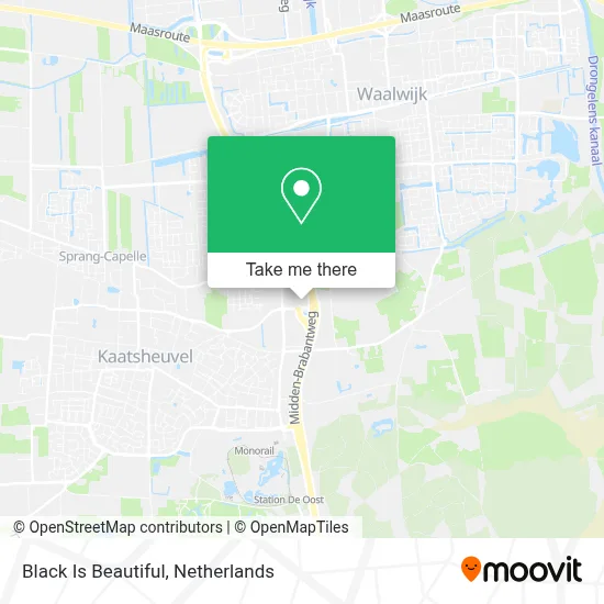 Black Is Beautiful map