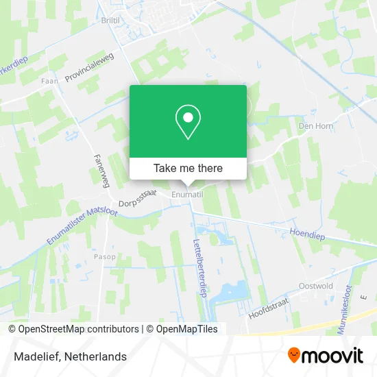 Madelief map
