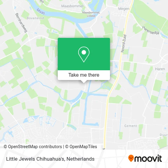 Little Jewels Chihuahua's map
