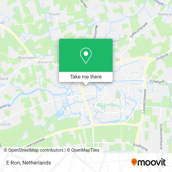 E-Ron map