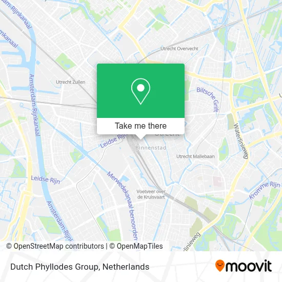 Dutch Phyllodes Group Karte