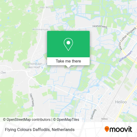 Flying Colours Daffodils map