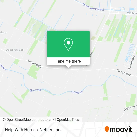 Help With Horses map