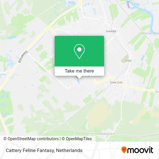 Cattery Feline Fantasy map