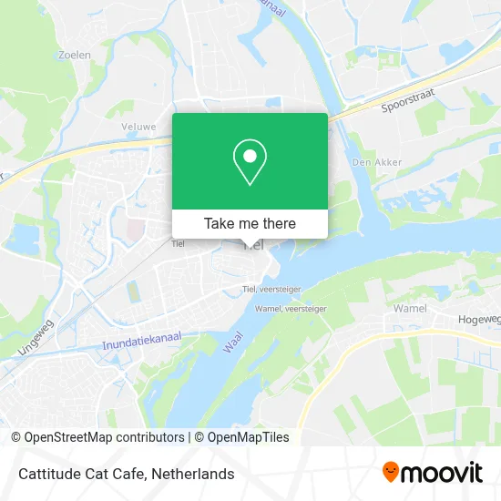 Cattitude Cat Cafe map