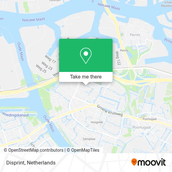 Disprint map