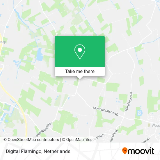 Digital Flamingo map