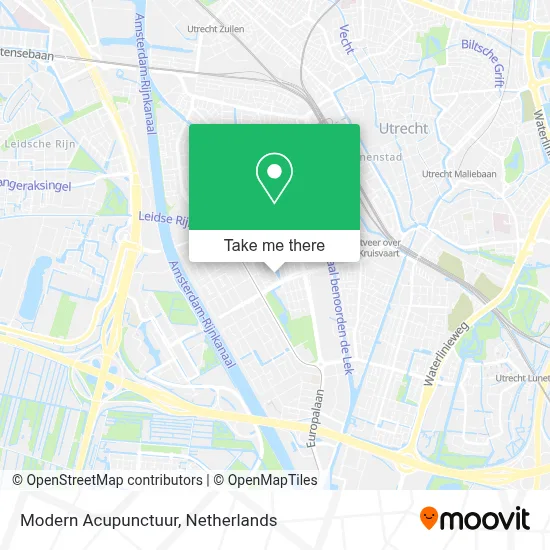 Modern Acupunctuur map