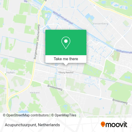 Acupunctuurpunt map