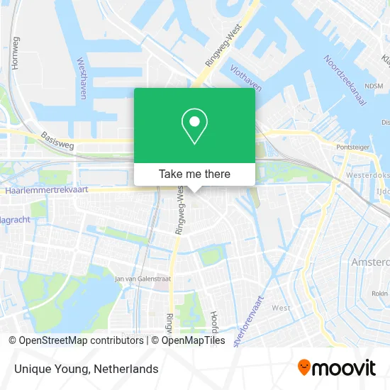 Unique Young map
