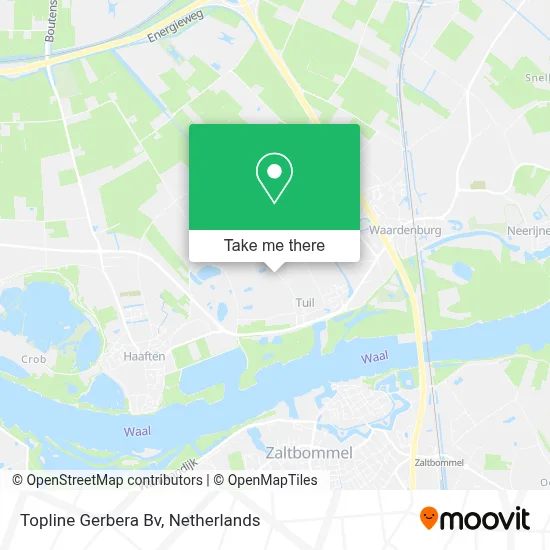 Topline Gerbera Bv map