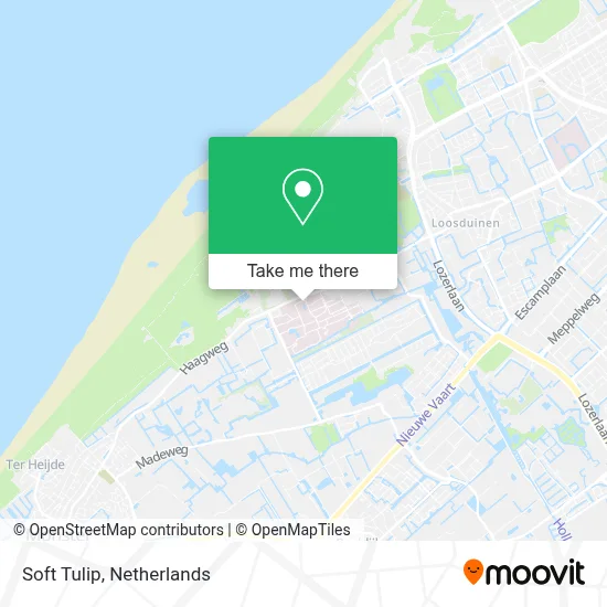 Soft Tulip map