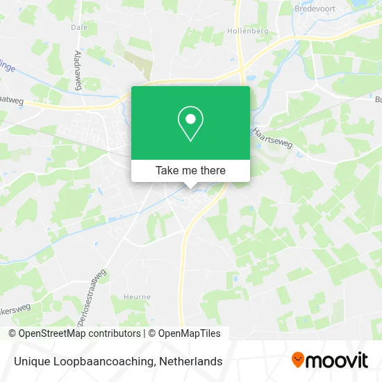 Unique Loopbaancoaching map