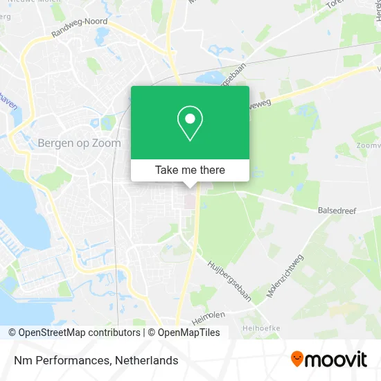 Nm Performances map