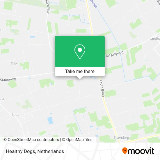 Healthy Dogs Karte