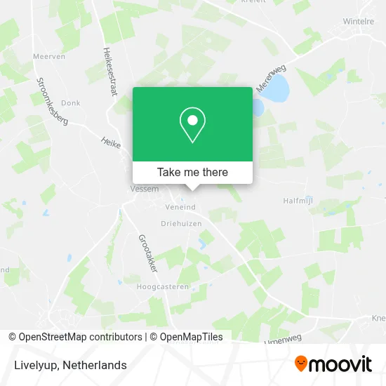 Livelyup map