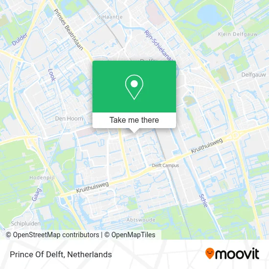 Prince Of Delft map