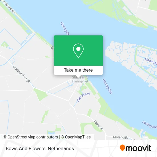 Bows And Flowers map