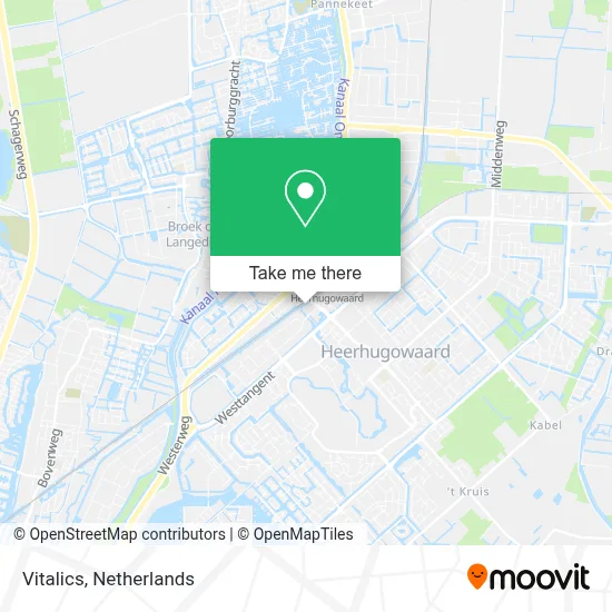 Vitalics map