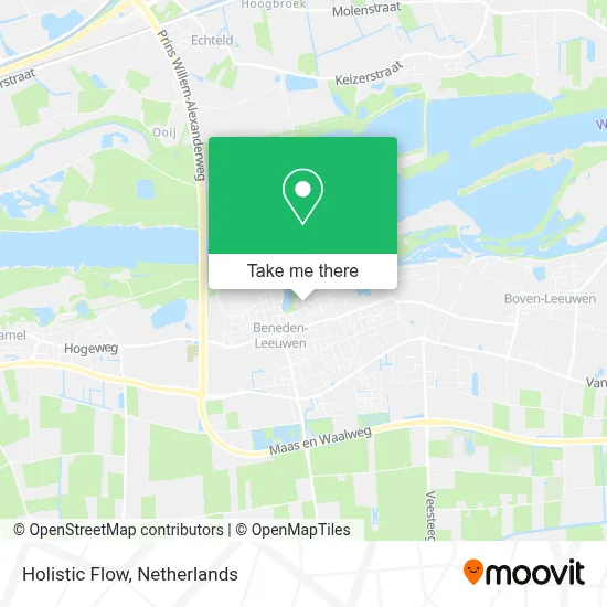 Holistic Flow map