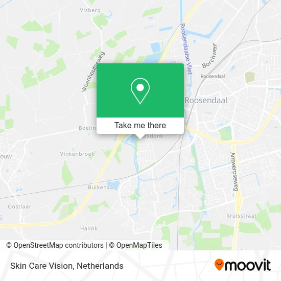 Skin Care Vision map