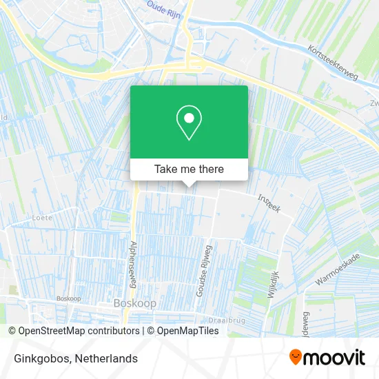 Ginkgobos map