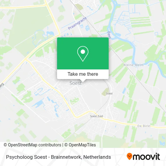 Psycholoog Soest - Brainnetwork map