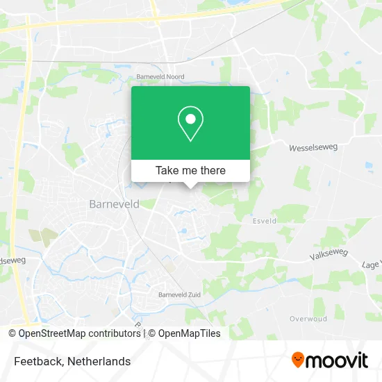 Feetback map